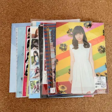 사시하라 리노 AKB48 HKT48 클리어 파일 모음