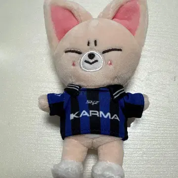 StrayKids KARMA SKZOO VER 아이엔 폭시니