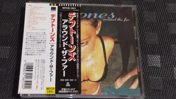 데프트톤즈 어라운드 더 퍼 Deftones