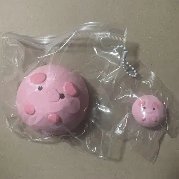 해외 스퀴즈