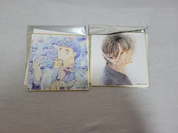 꽃과 순정 전시회 새벽의 연화