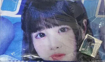 iLiFE! 무도관 카라시 카렌 가라폰 B상 타월