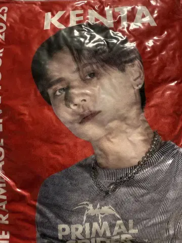 카미야 켄타 쿠션