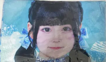iLiFE! 무도관 니지하네 미니 가라폰 B상 타월