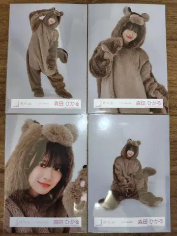 45: 사쿠라자카46 모리타 히카루 동물 인형옷 브로마이드 4장 컴프