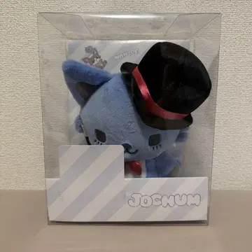 JOCHUM 레인 트레이딩 카드 없음