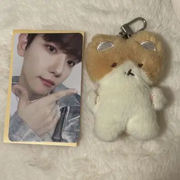 트레기 백현 인형 키링 트레이딩 카드
