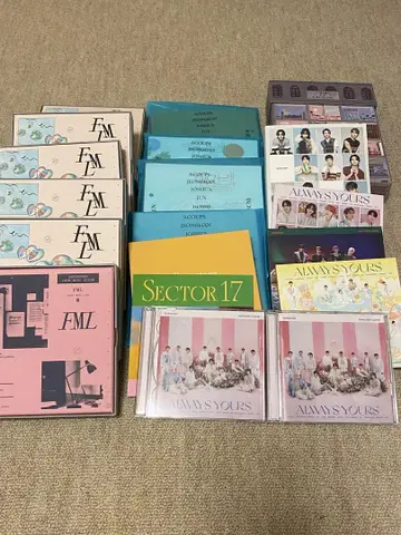 SEVENTEEN CD 앨범 묶음 판매 덤 포함 19점