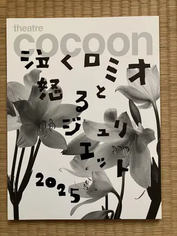 우는 로미오와 화내는 줄리엣 2025 팜플렛 west. 키리야마