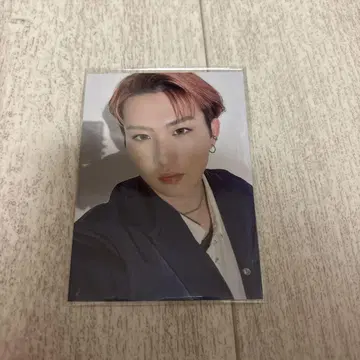 야마모토 코타 시크레