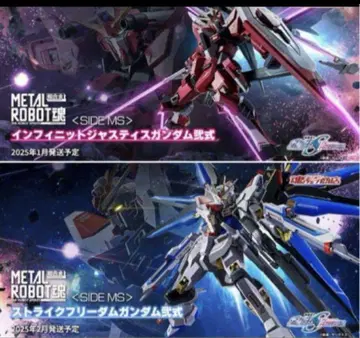 인피니트 저스티스 건담 & 스트라이크 프리덤 건담