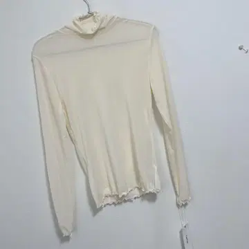 두두 시어 터틀