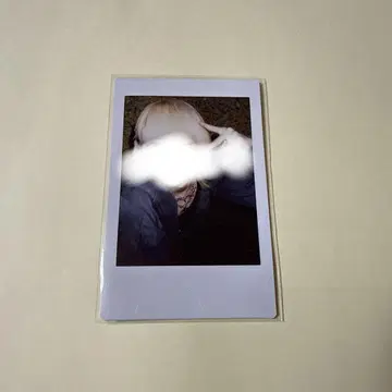러브시크 하야테 핑 폴라로이드