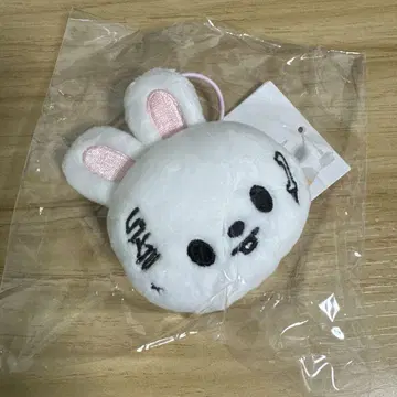 Straykids KARMA POPUP skzoo 네임택 리빗