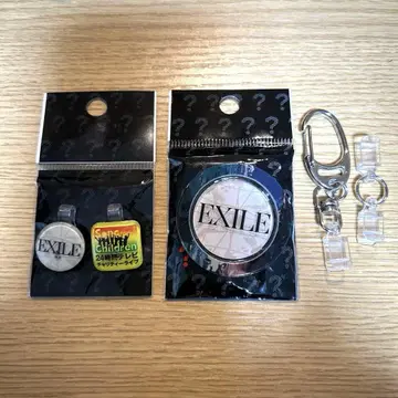 EXILE 24시간 TV 자선 라이브 럭키 코인 피크 핑