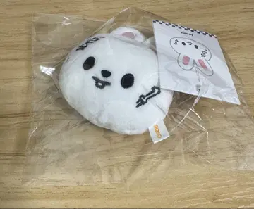 Straykids KARMA POPUP skzoo 네임택 리비 봉투 파손