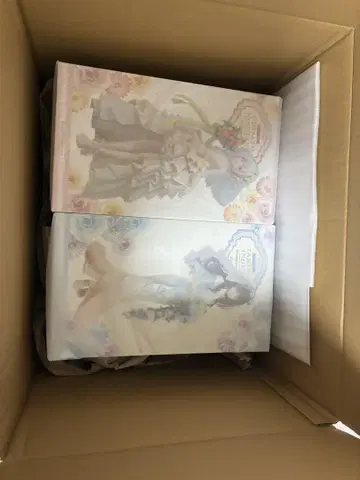 애니플렉스 리코리스 리코일 웨딩 ver 2체 세트 미개봉 새상품