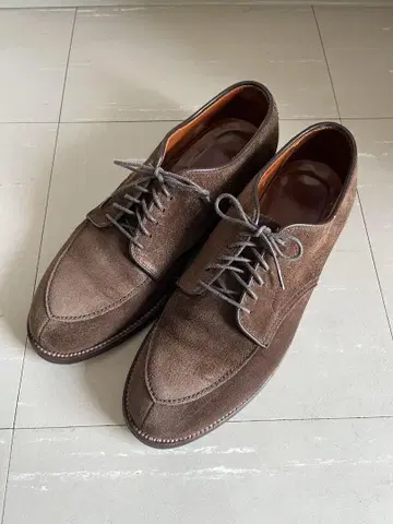 ALDEN 알든 v칩 스웨이드 신발 6 1/2 사이즈