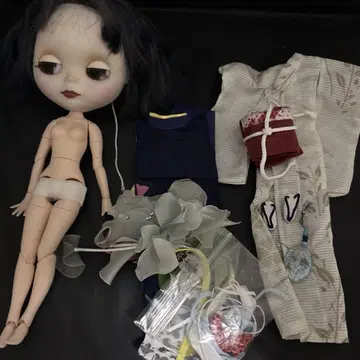 아이시 인형 본체와 의상 세트