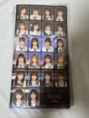 AKB48 3단 사진 앨범 브로마이드