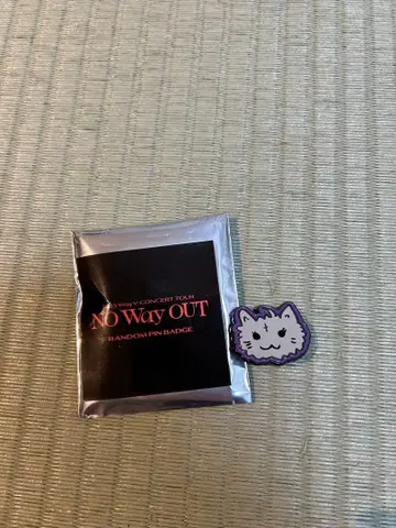 WayV NO Way OUT 랜덤 핀배지 텐 고양이