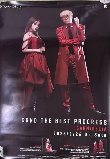 GARNiDELiA GRND THE BEST PROGRESS 포스터