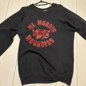 빈티지 healthknit vintage 아메카지