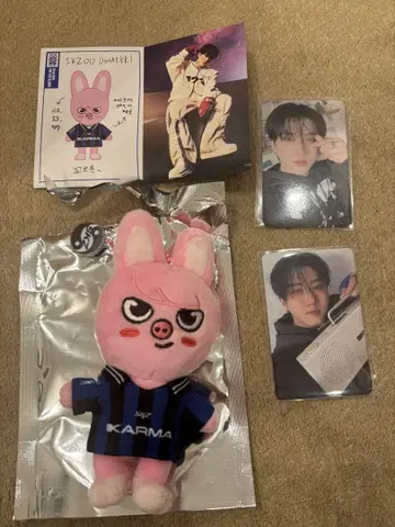 straykids 스키즈 창빈 돼끼 세트