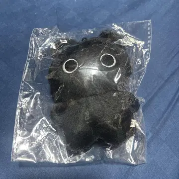 원빈 RIIZE 라이즈 마스터 봉제 인형 검은 고양이 봉제 인형