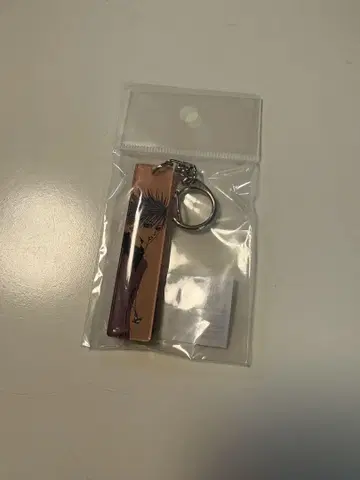 [ 미사용 새상품 ] 야자와 아이전 신 키링