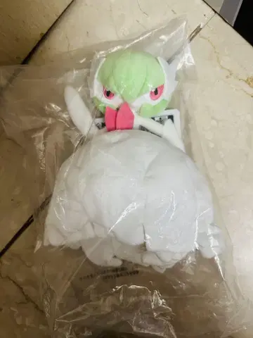 제일복권 포켓몬 메가진화
