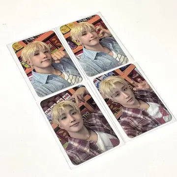 ZOONIZINI 입장 혜택 트레이딩 카드