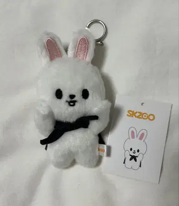 StrayKids 리빗 마그넷 키링