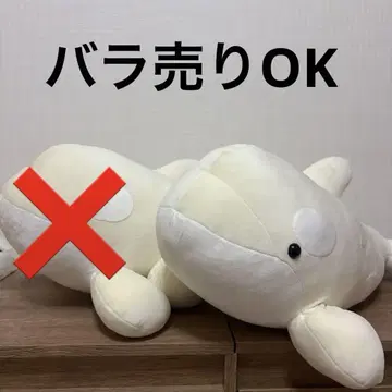 나고야항 수족관 범고래 복권 2등 화이트 알비노