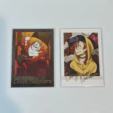 문호 스트레이독스 나카하라 츄야 파샤코레 금박