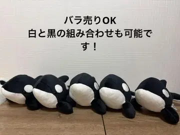 낱개 판매 OK 나고야항 수족관 범고래 복권 3등 블랙