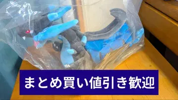 [ 포켓몬 ] 메가진화 제일복권 A상 메가리자몽X