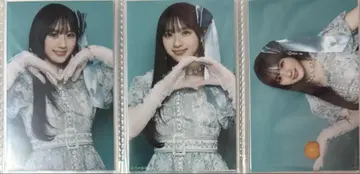 노기자카46 카와사키 벚꽃 네이블 오렌지 미니 브로마이드 컴프