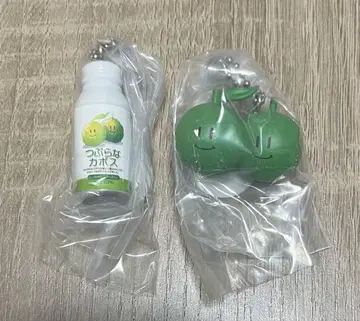 제이 에이 후즈 오이타 미니어처 참 츠부라나 카보스 츠부카부짱
