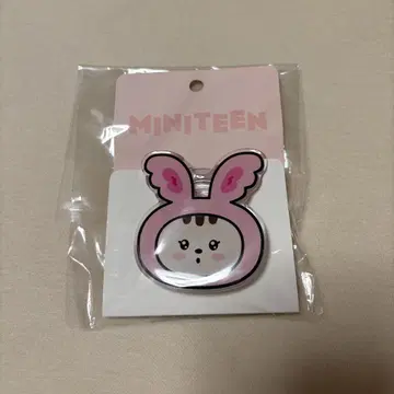 SEVENTEEN 세부치 miniteen 정한 라무 스마트톡