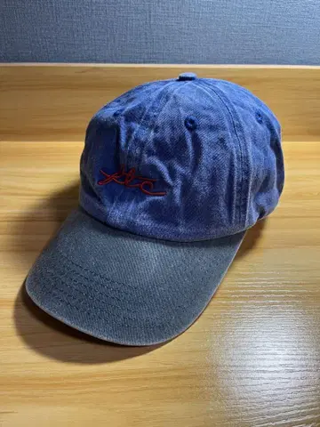 FTC 캡 VIVA 로고 6 패널
