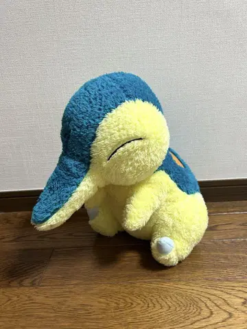 포켓몬스터 훈훈한 힐링 메가 히노아라시 봉제 인형