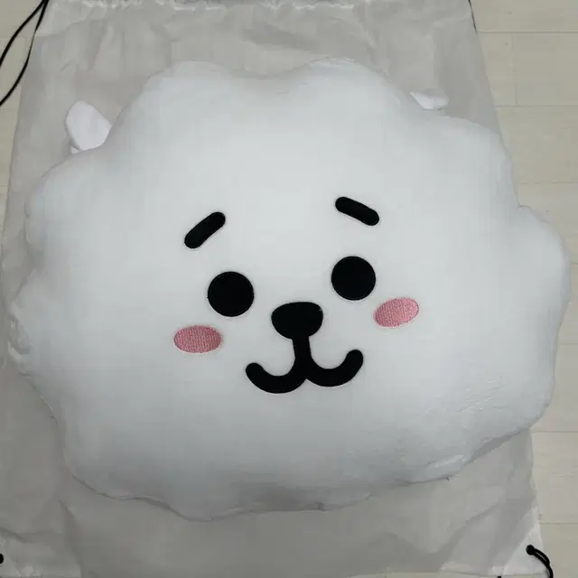 방탄소년단 bt21 RJ 알제이 42cm 얼굴 쿠션 (판매종료된 희귀매물