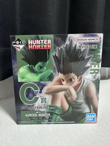HUNTER x HUNTER C상 곤