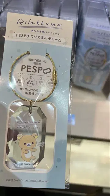 리락쿠마 스토어 in GINZA 긴자 크리스탈 참 2