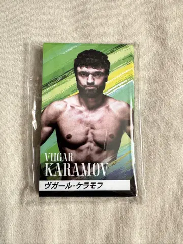 RIZIN LANDMARK.11 카드