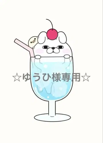 유우히님 비녀 케이스