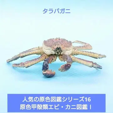 레어 유진 원색도감 시리즈 16 원색 갑각류 새우 게 도감 I 타라바가니