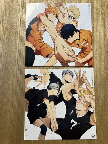 111 한정판 하이큐!! SUPER BEAVER 스티커만