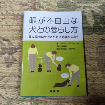 눈이 불편한 개와 함께 사는 법 함께 행복하게 살기 위한 훈련을 하자